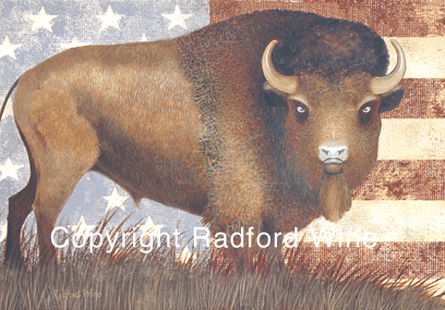 American Bison